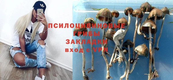 прущие крисы Балахна