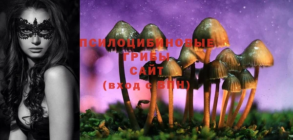 спиды Баксан